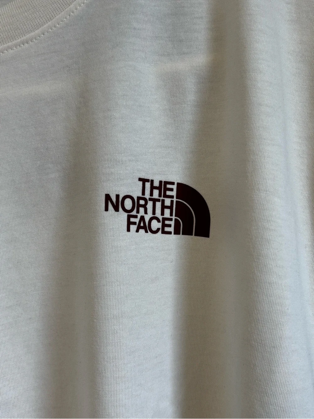 The North Face Men's Exotic Days Reg Fit short sleeve tee. Sz L. NWT